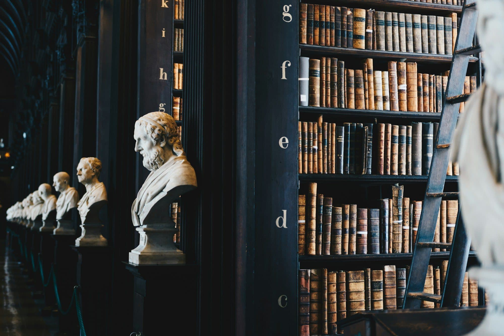A historic library with shelves of old books and marble busts
